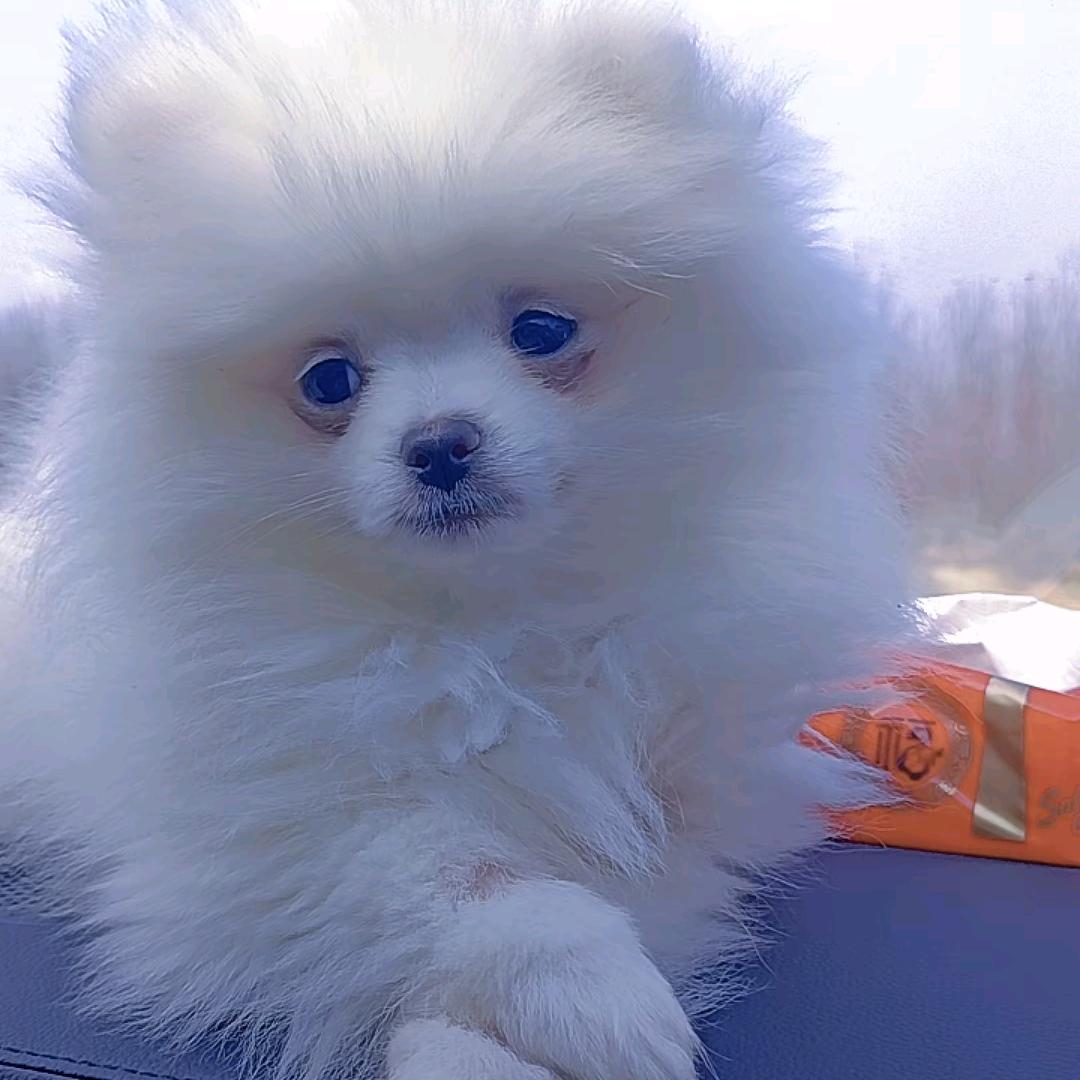 李大妹。