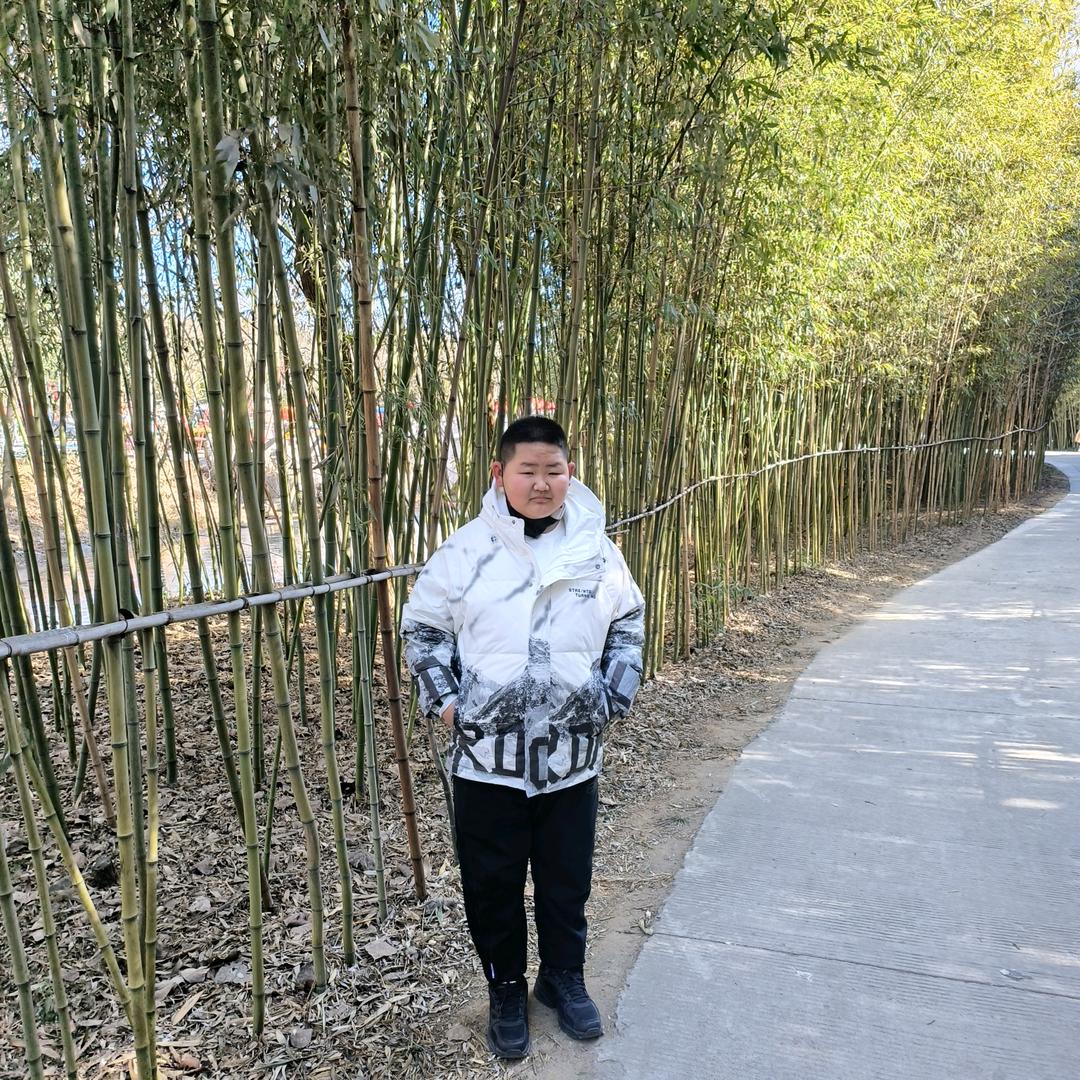 萬顺物流
