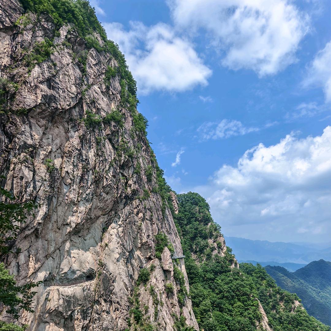 沈丘莲池志理家电