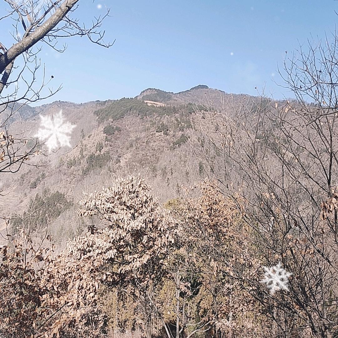 山水情