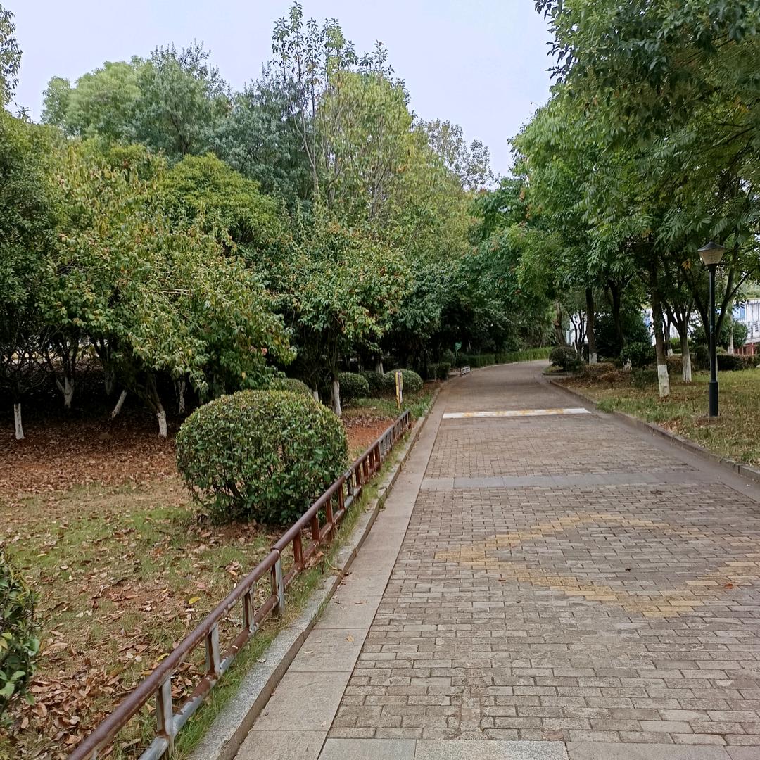 同情自己