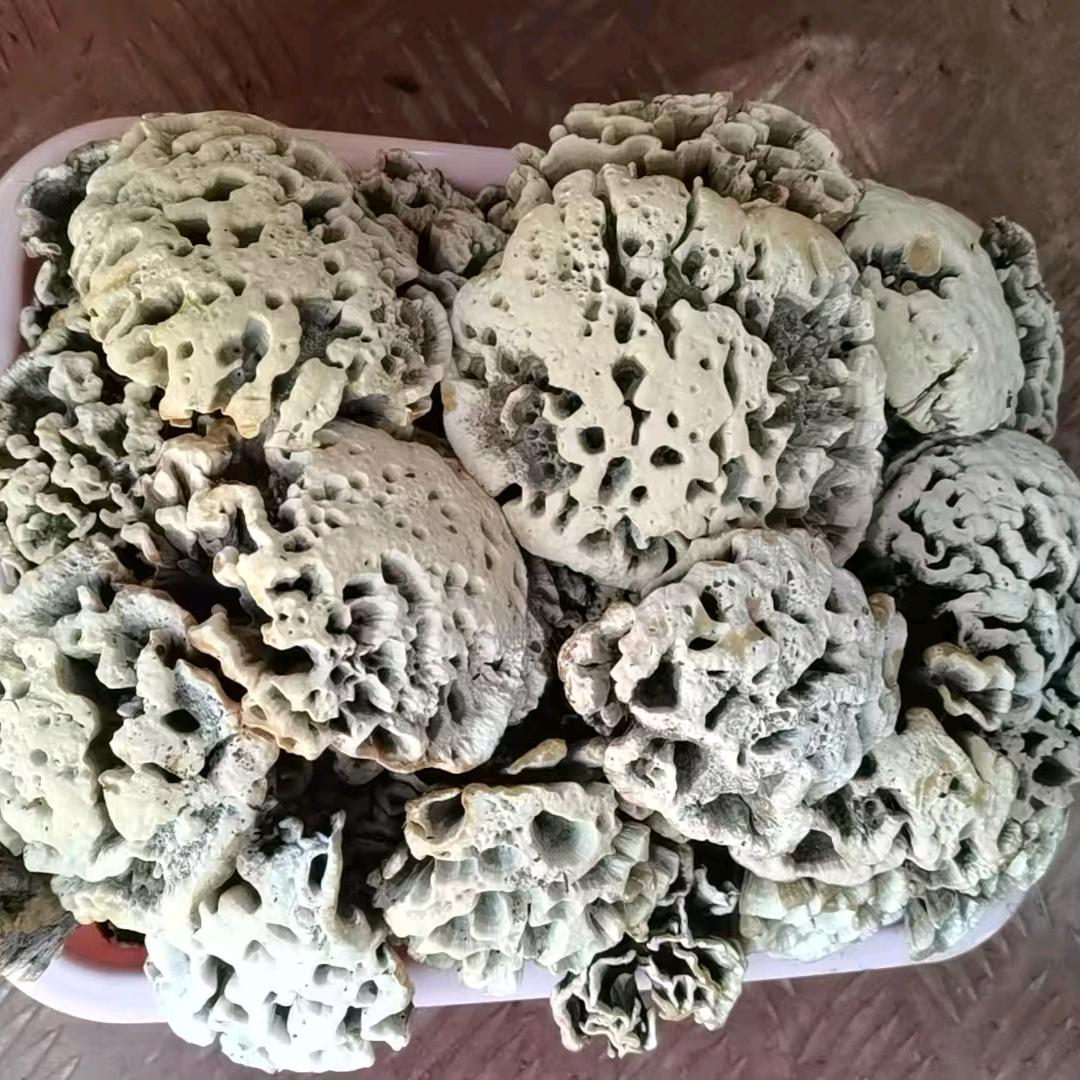 云南土特产