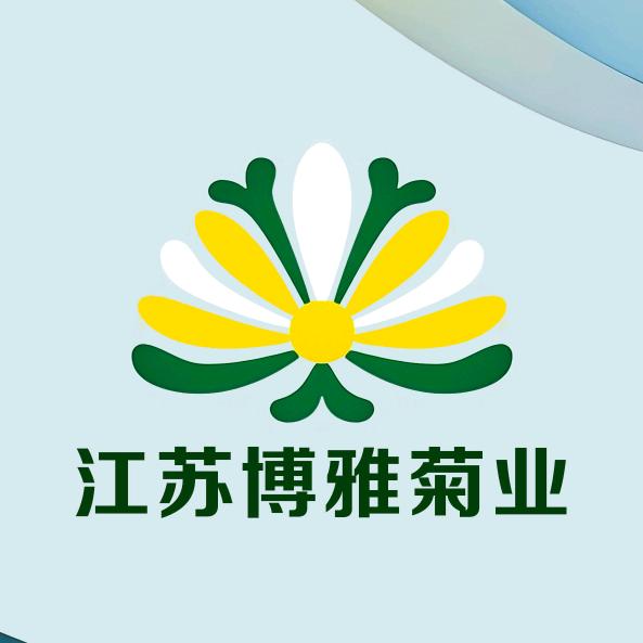 江苏博雅黄白菊基地直发