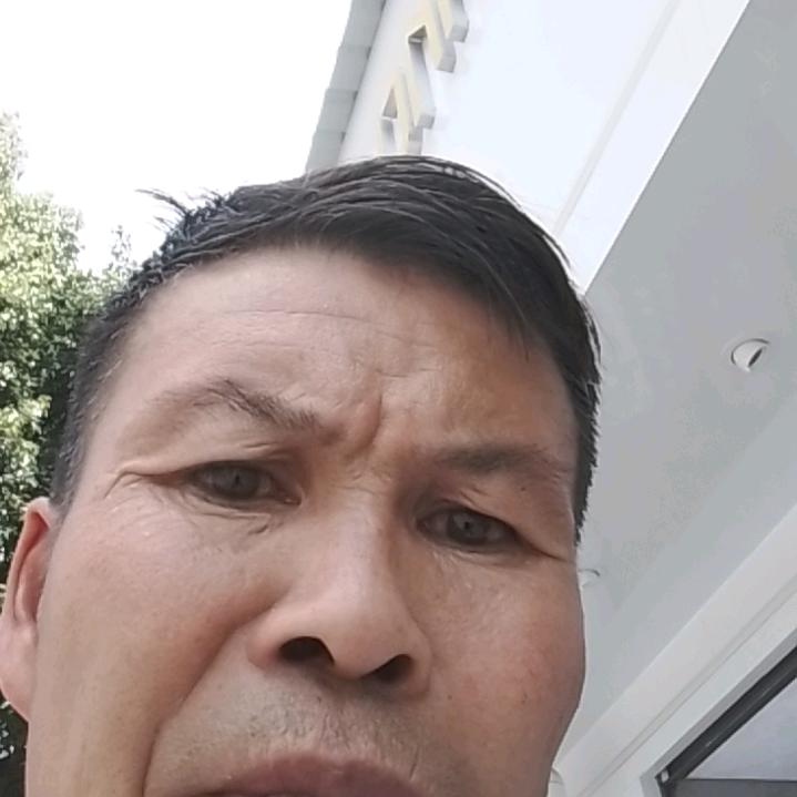 见