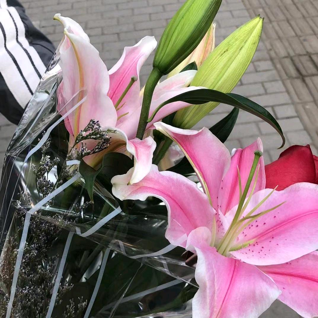 ಇ᭄辷.诺এᮁ໊࿐ᩚ