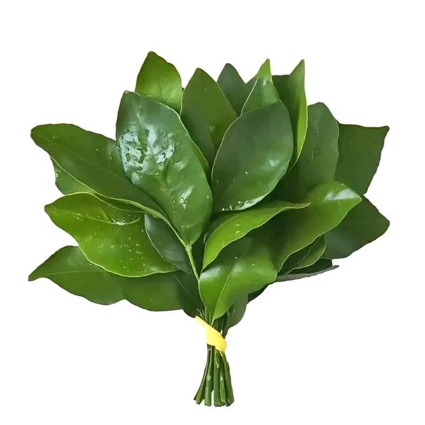 旺旺欣贝