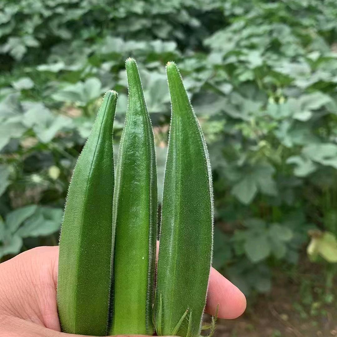 莘县优达鲜品自营仓🌾