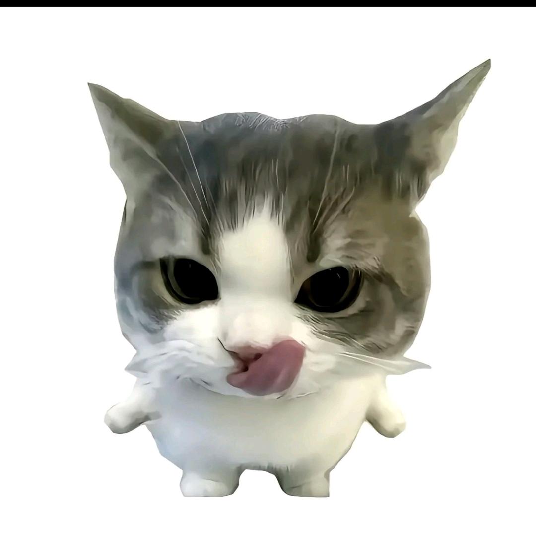 WQ悸年姻🐾
