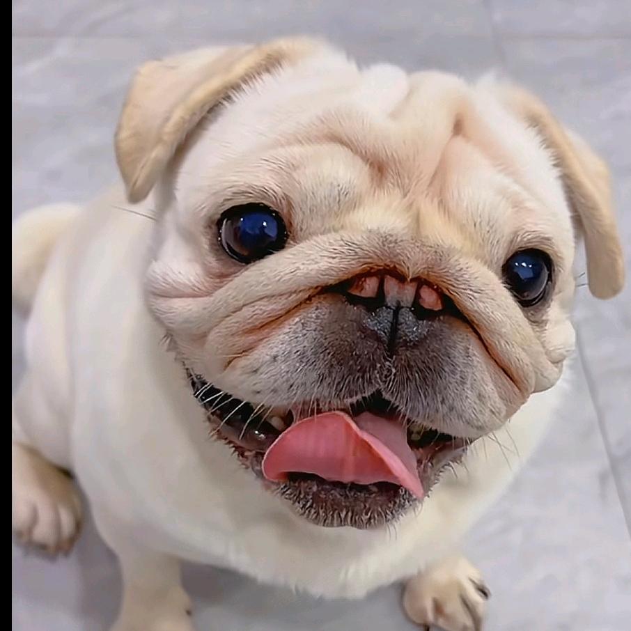 小丑哥🤡🤡🤡🤡