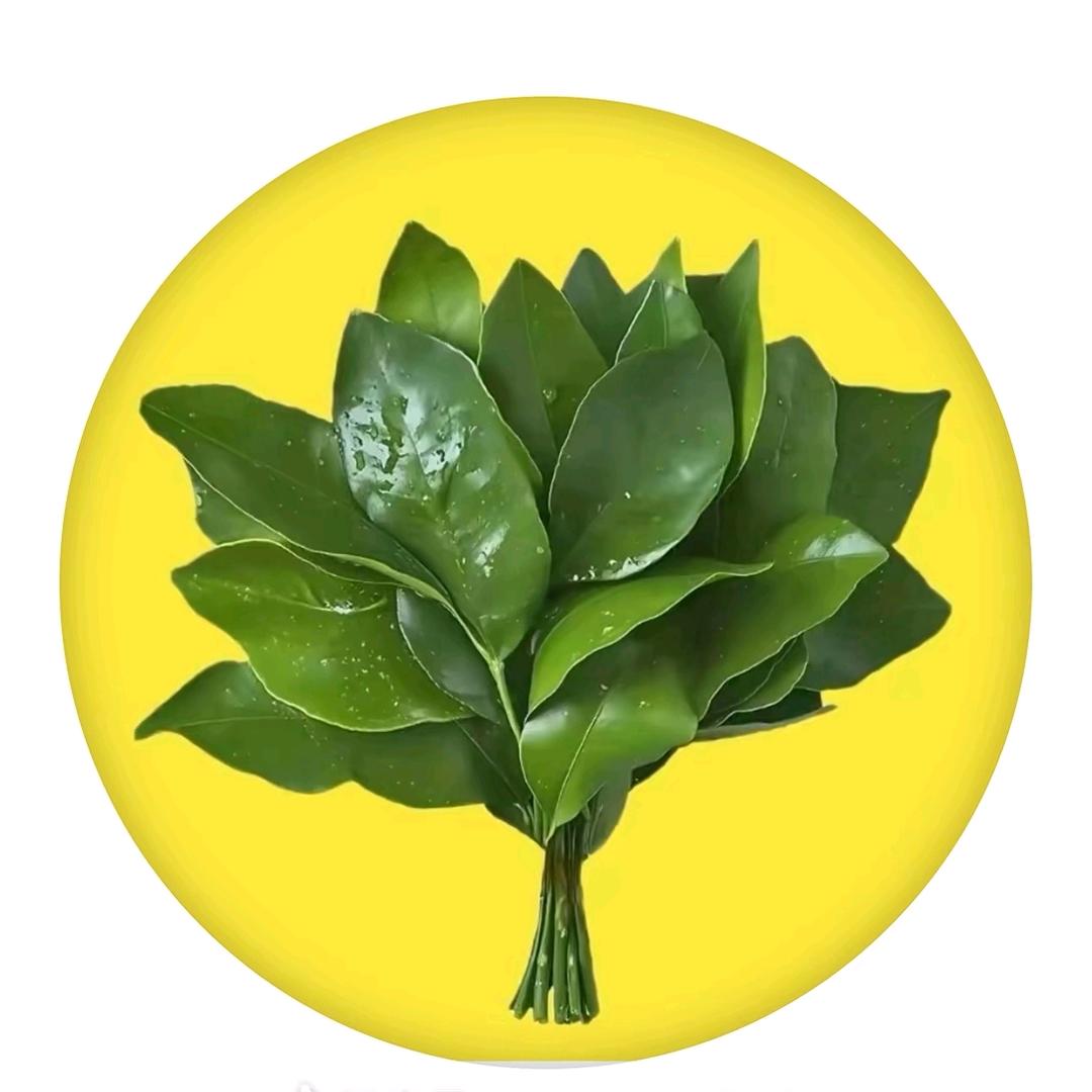 沈缺芯演子（港风）