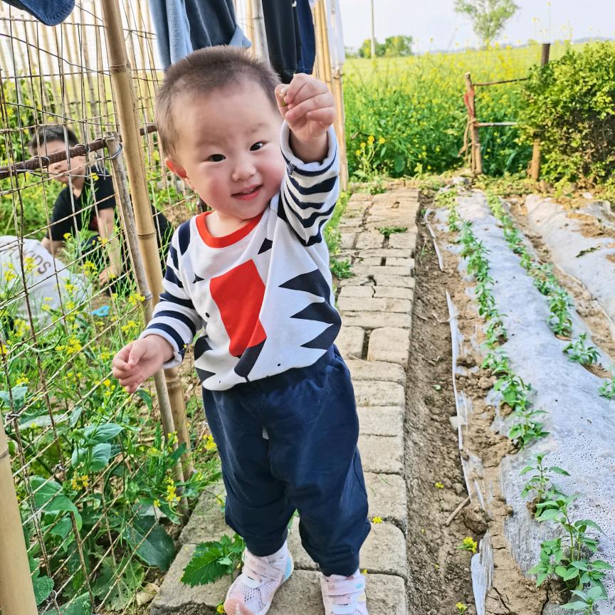 众