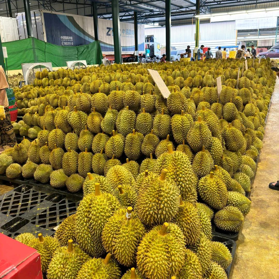 榴莲忘返工厂