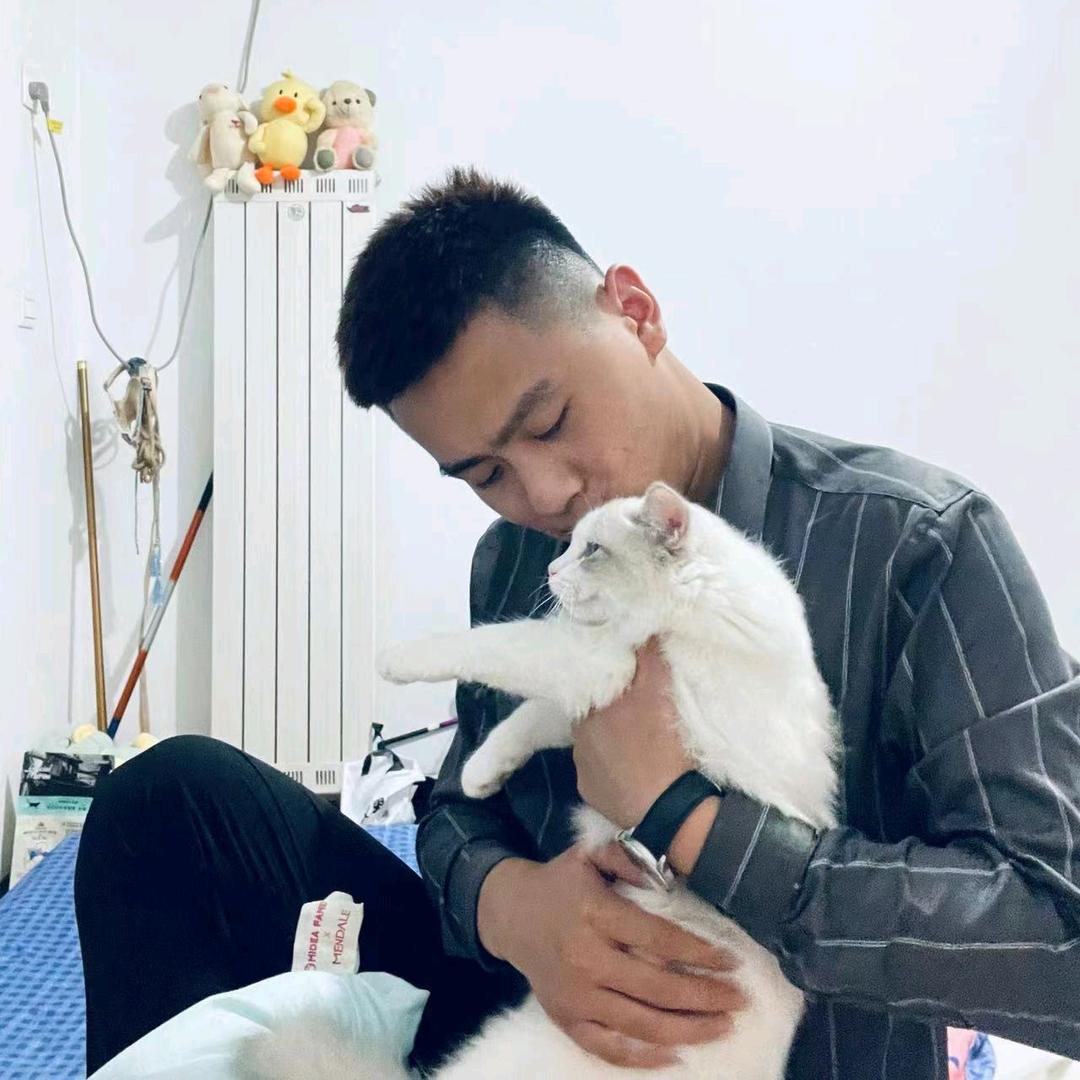 奔跑的🐮
