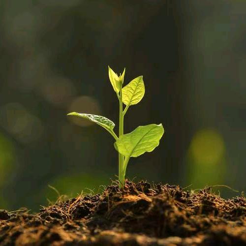 小于儿爱吃鱼0211