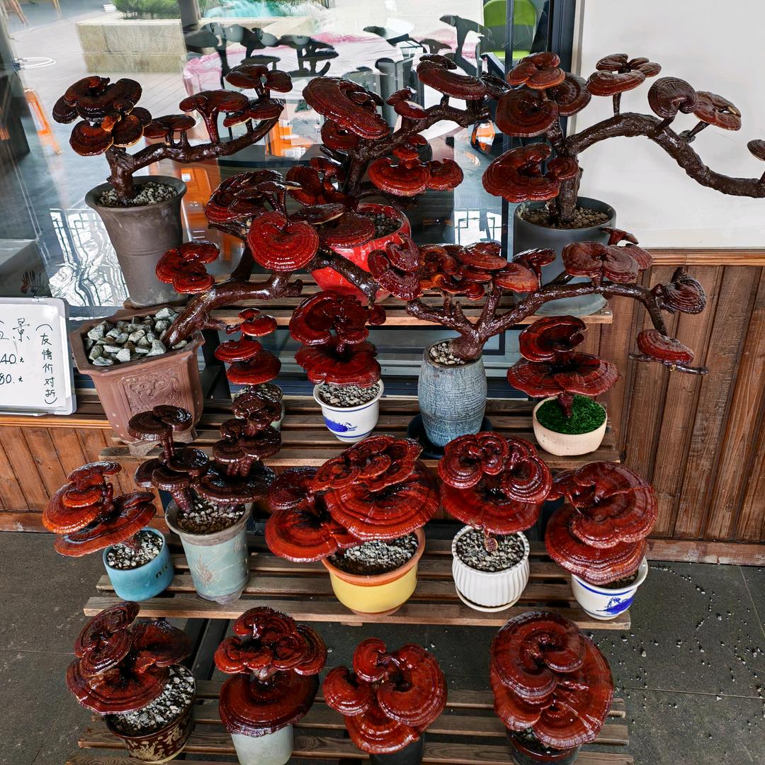 真诚