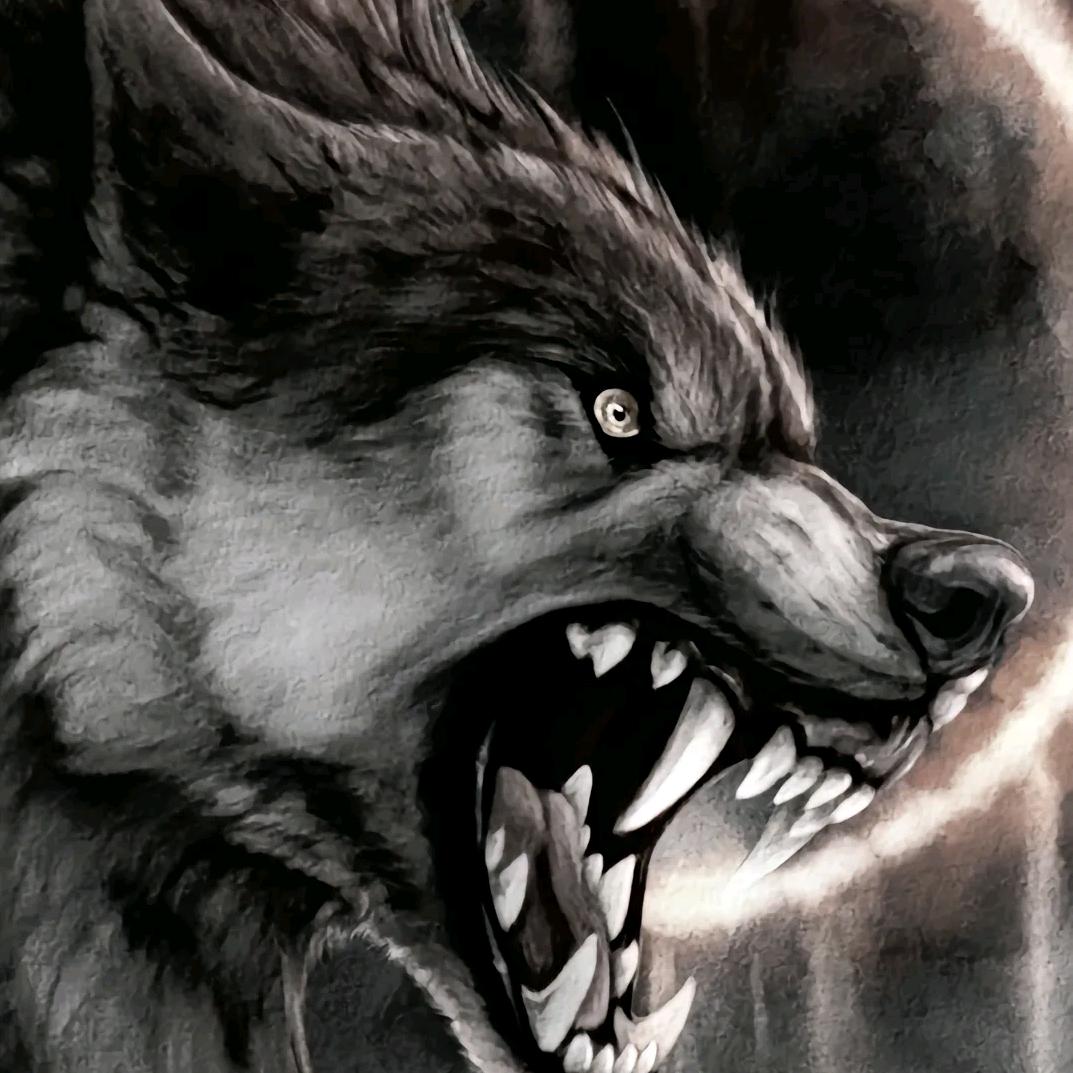 天狼🐺