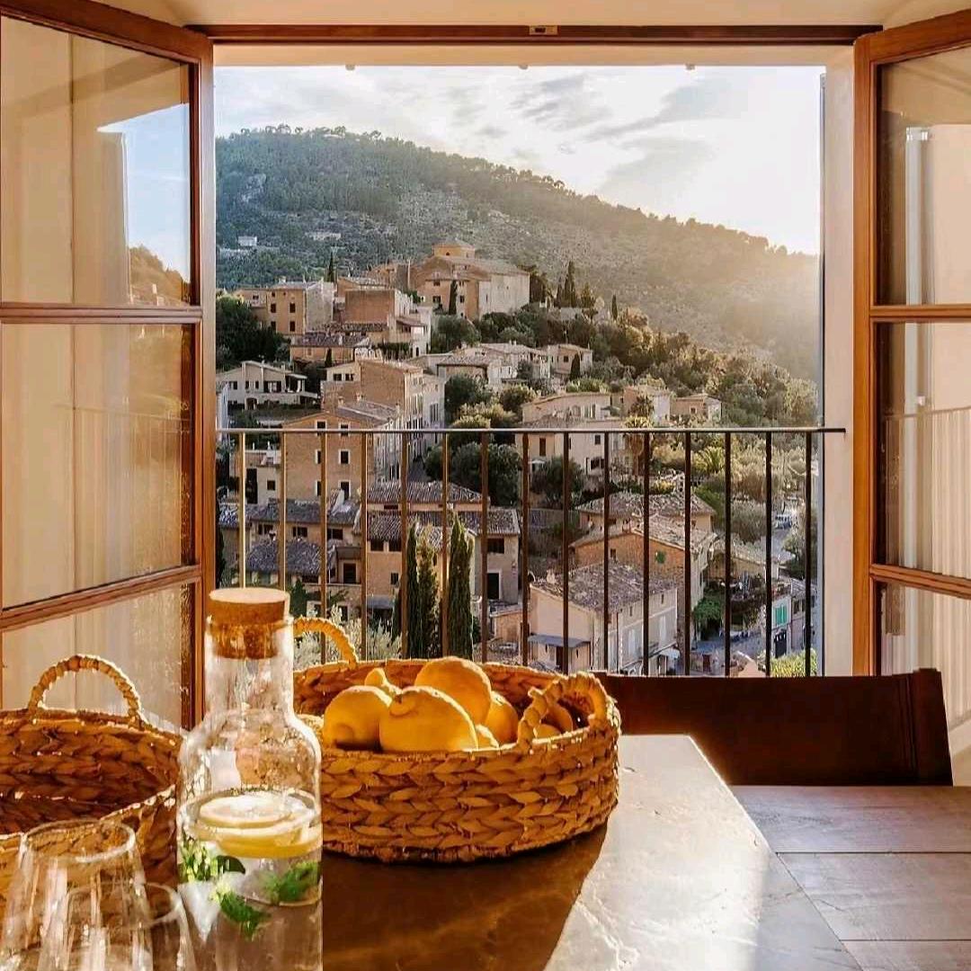 成功女人在荷兰🇳🇱