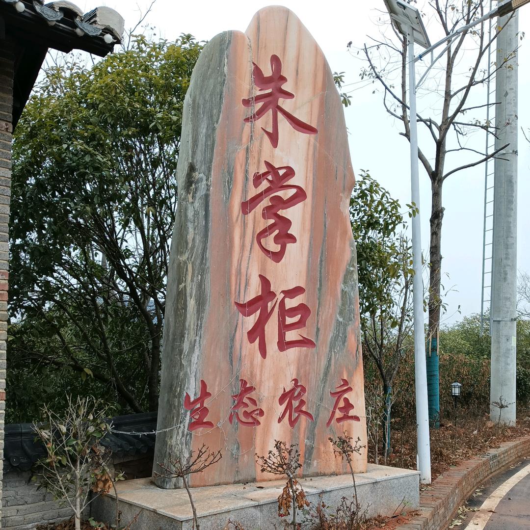 朱掌柜生态农庄小猪