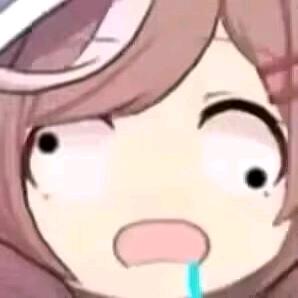 揽月