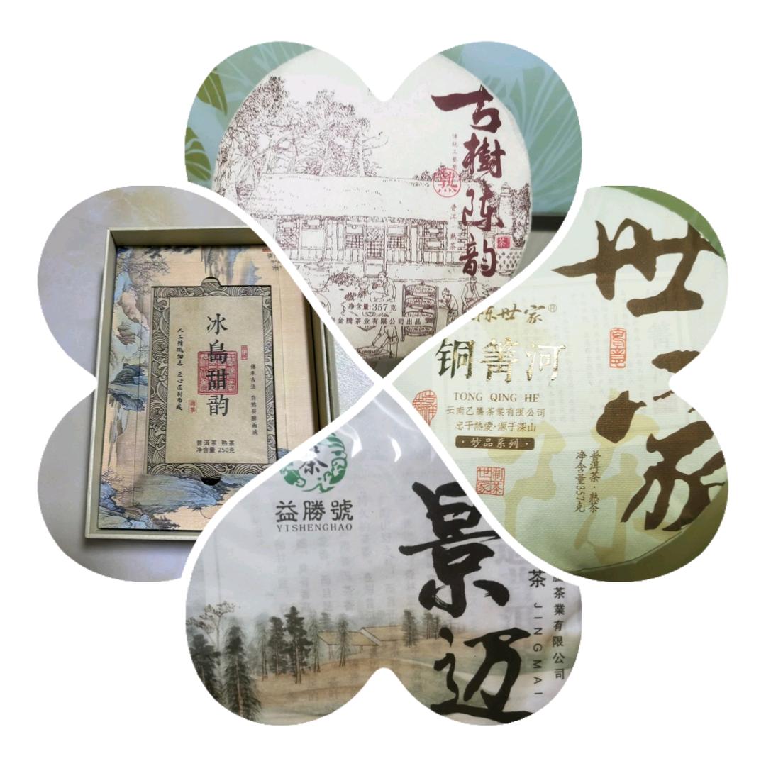 茶山谷云南普洱茶