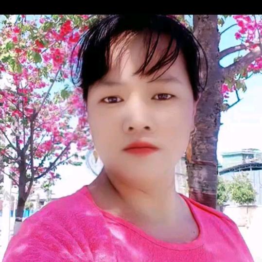 艳寒雪梅