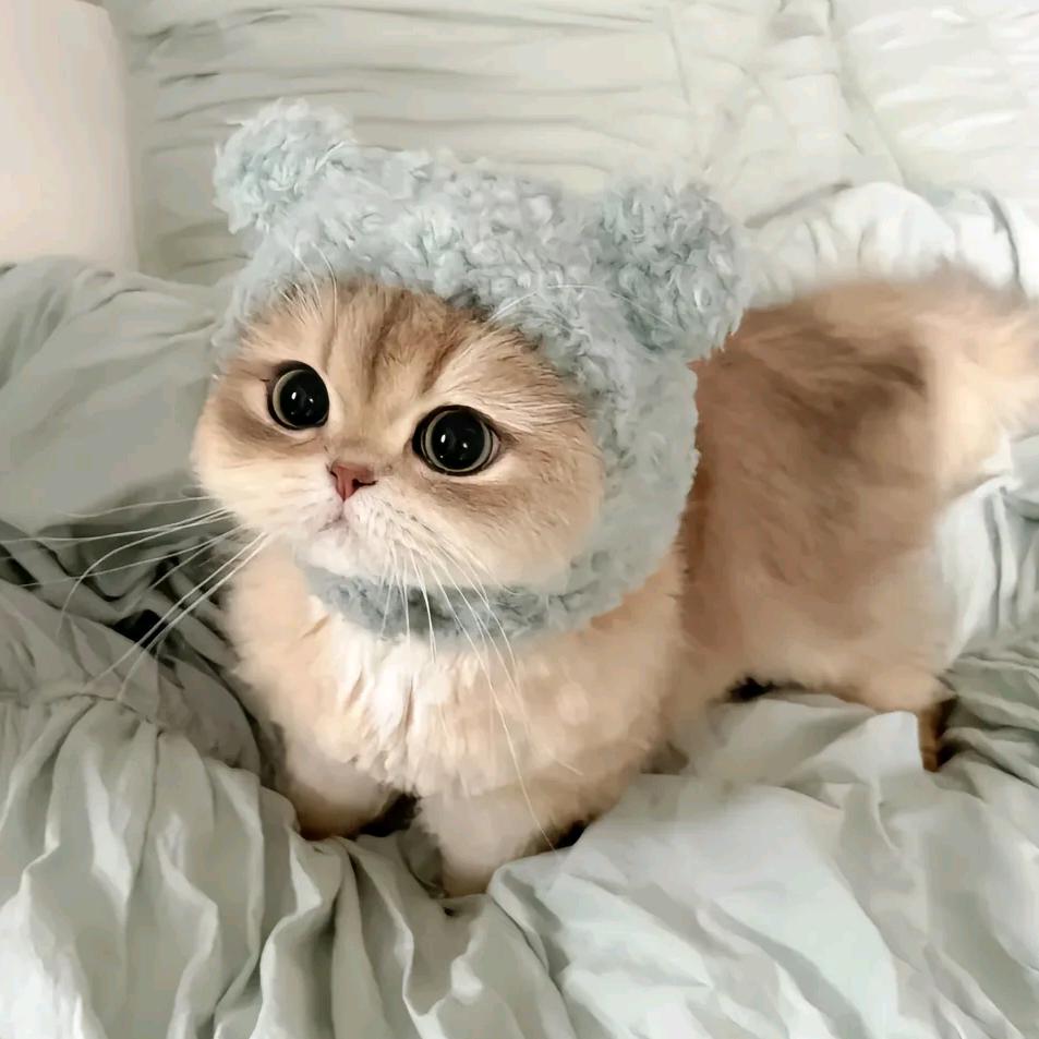 桃乐比的星星酱⭐