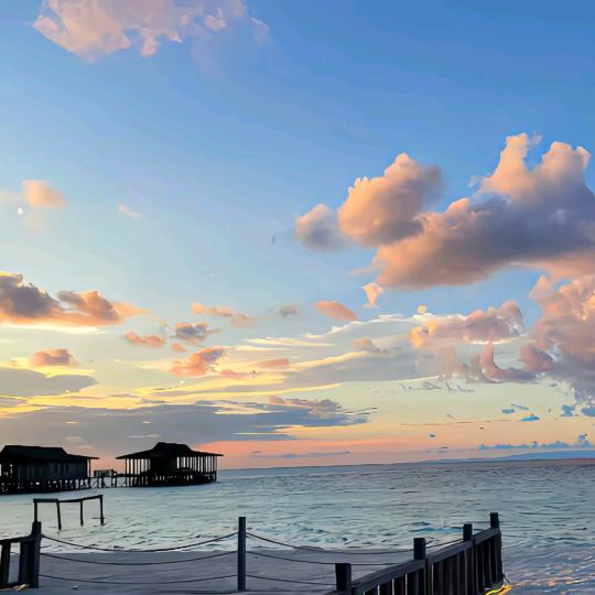 驾驶证服务中心