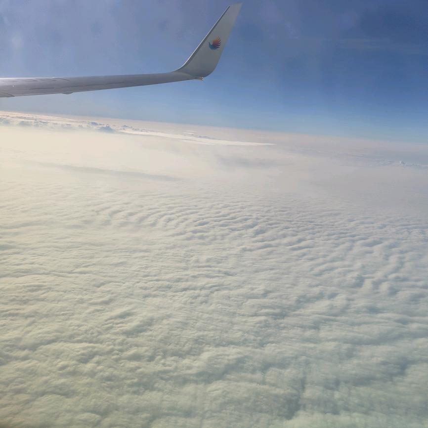 🌈悟道✌︎( ᐛ )✌︎🦜