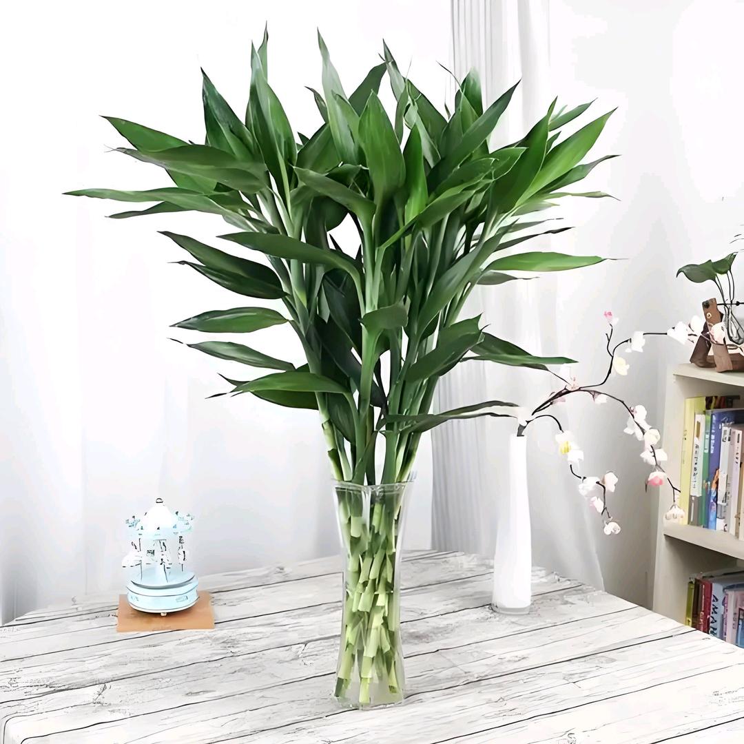 竹林轩