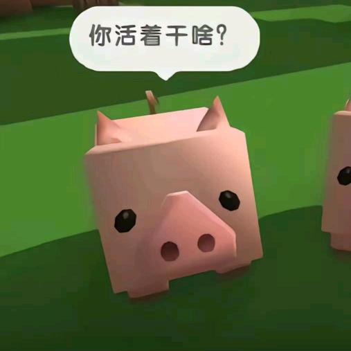 枫