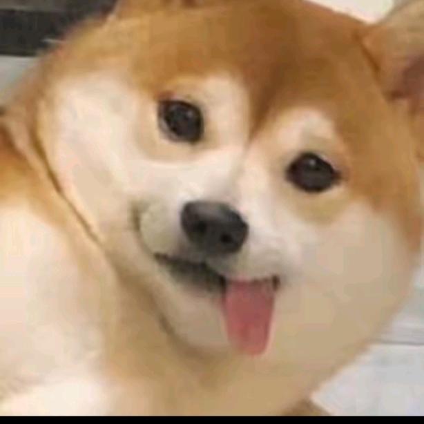 linxianlongt