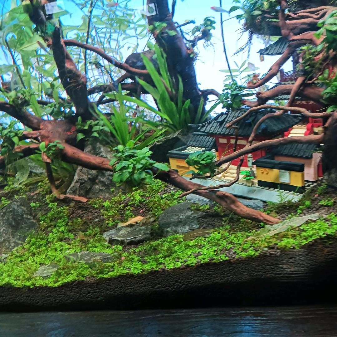 人生下半场 好好爱自己