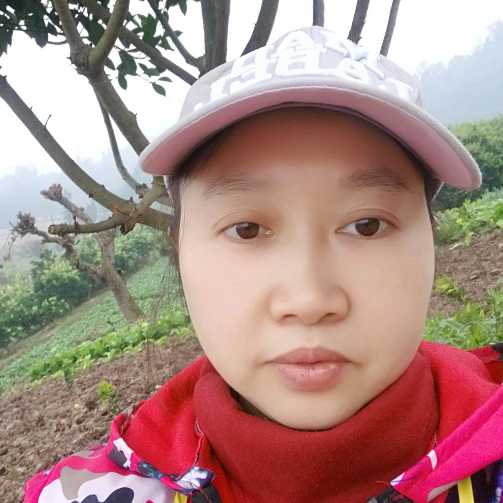 魏东梅