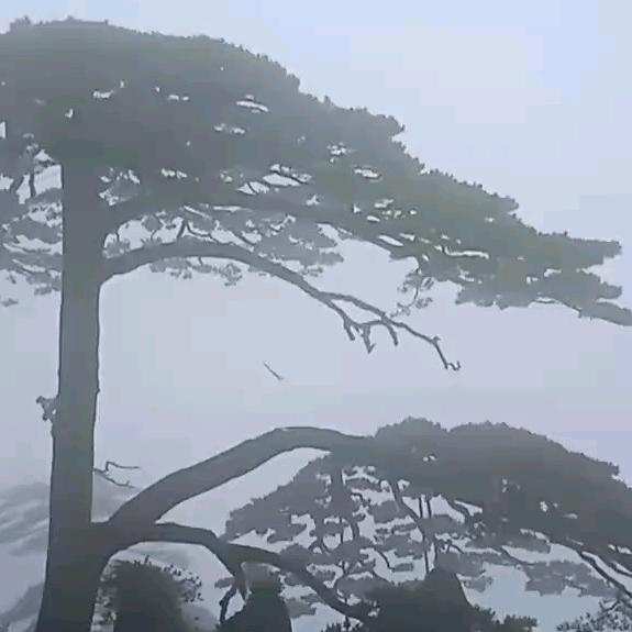 建康一生