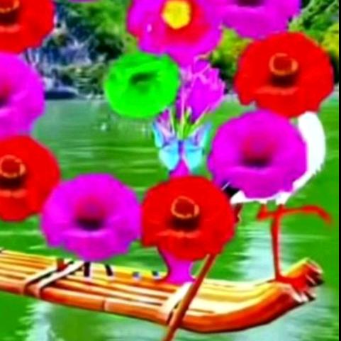 开心的花朵🌺