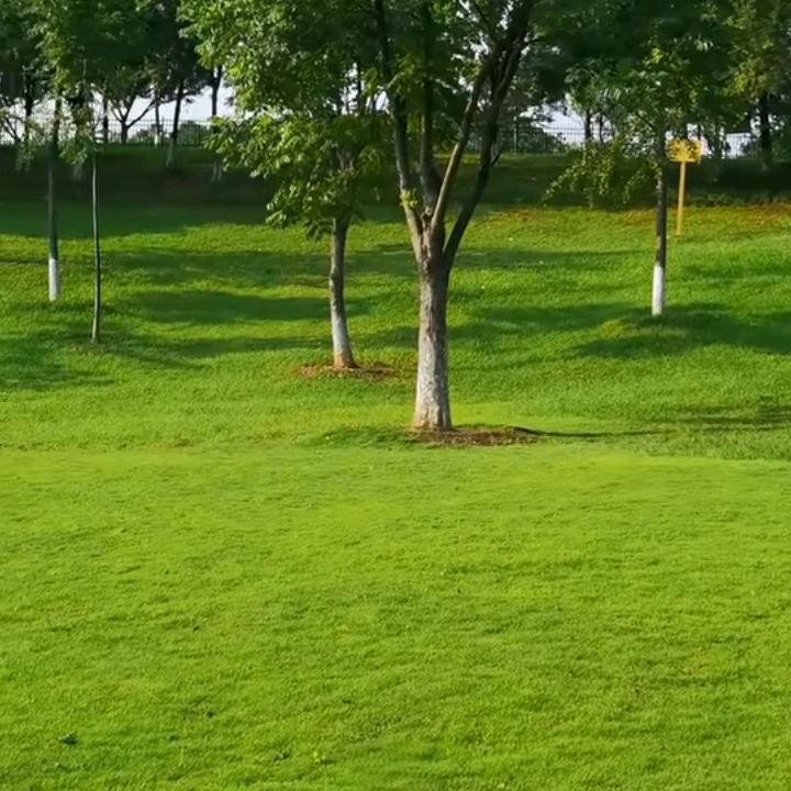 后街女孩