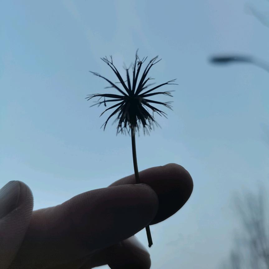 ｡･㉨･)っ峰回路转