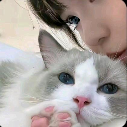 二八♡⁴¹²