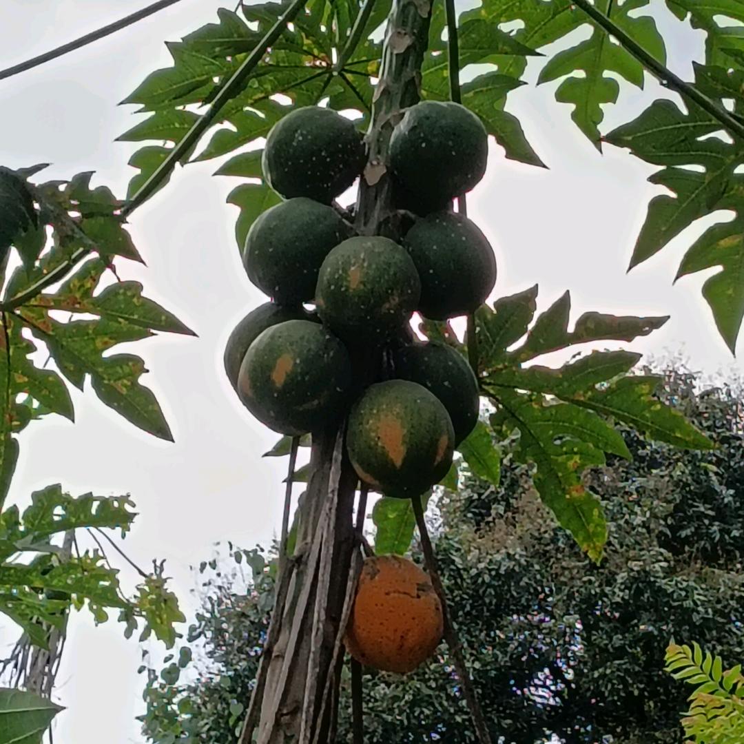 好好爱你