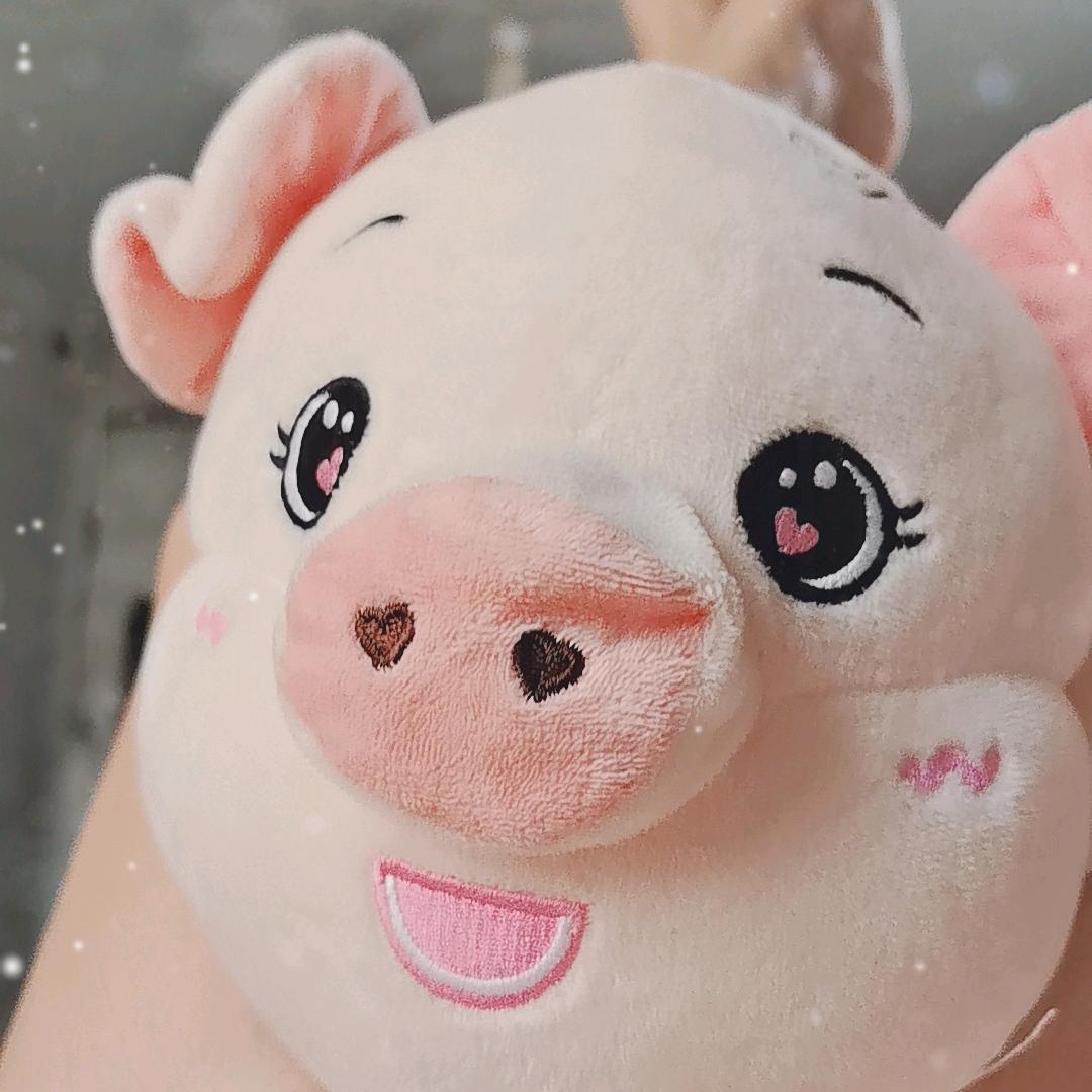 凡是过往