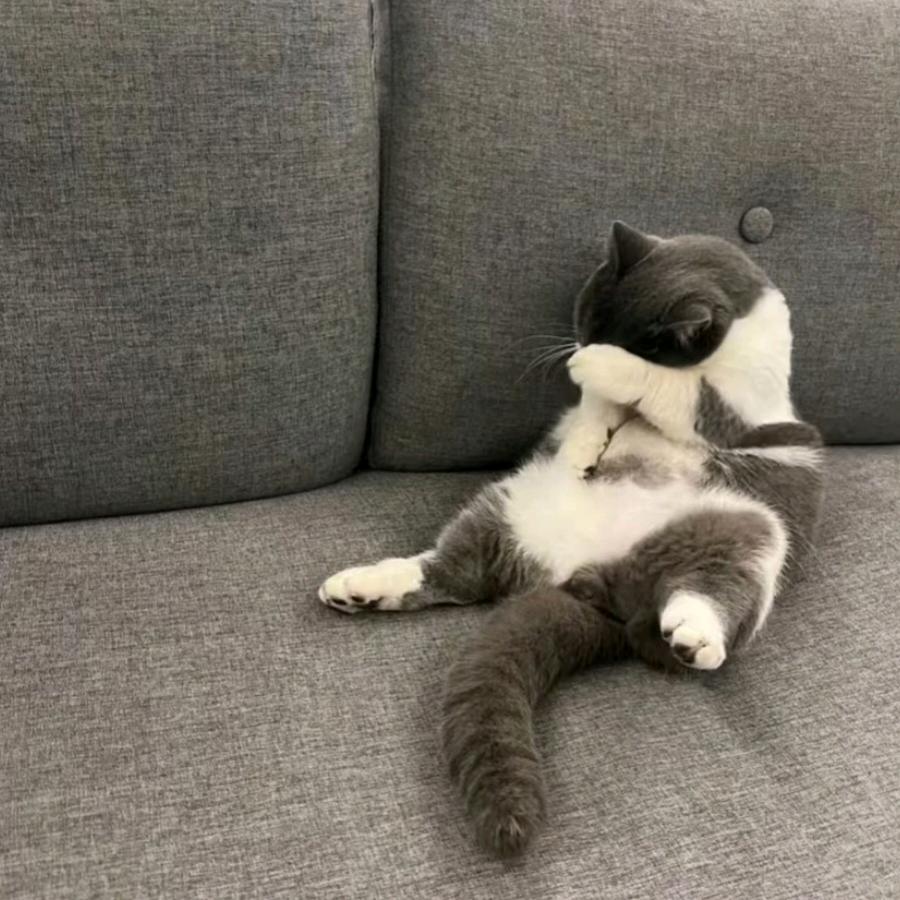 生气就像玉米花爆炸了