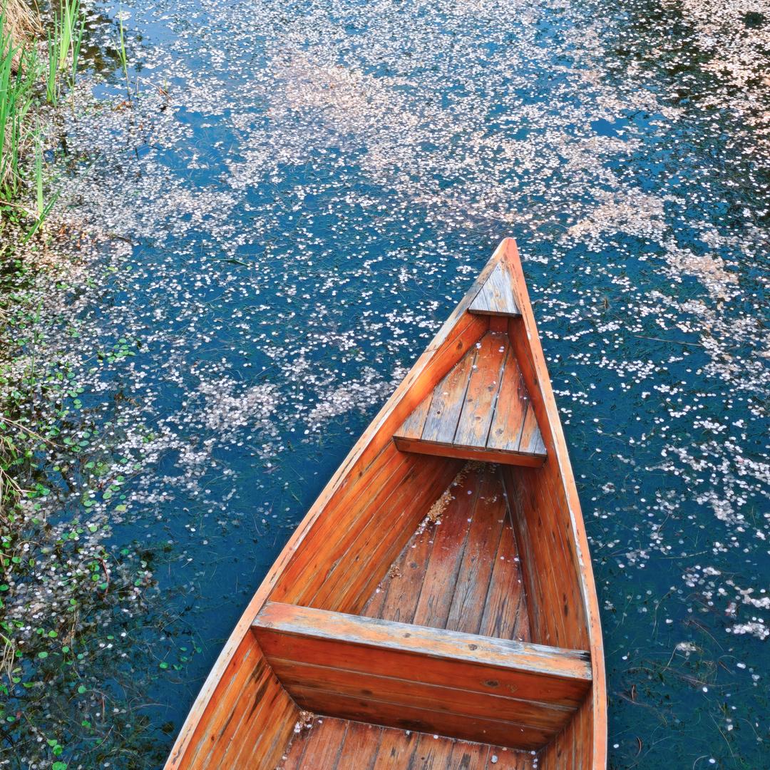 小曦曦（孕中期）