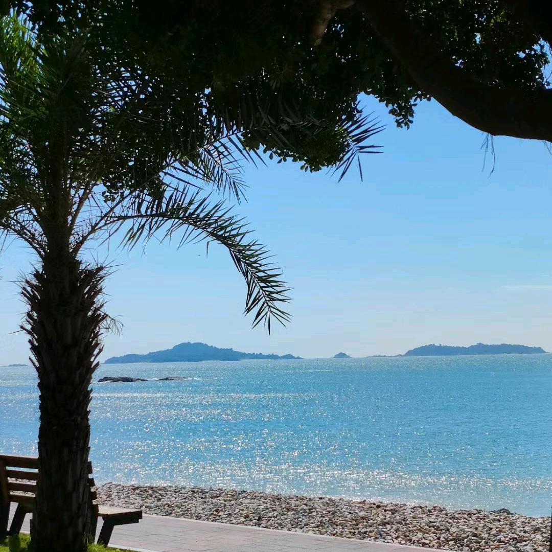 魔法与王国-花花