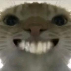 鸡屎