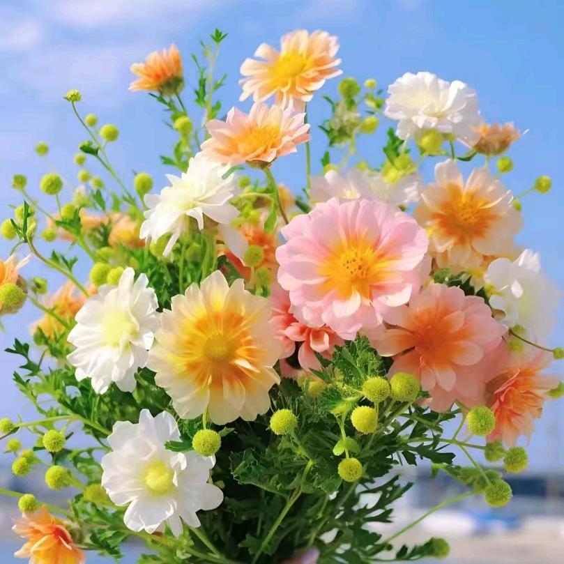 圣都爪掌柜万寿路店