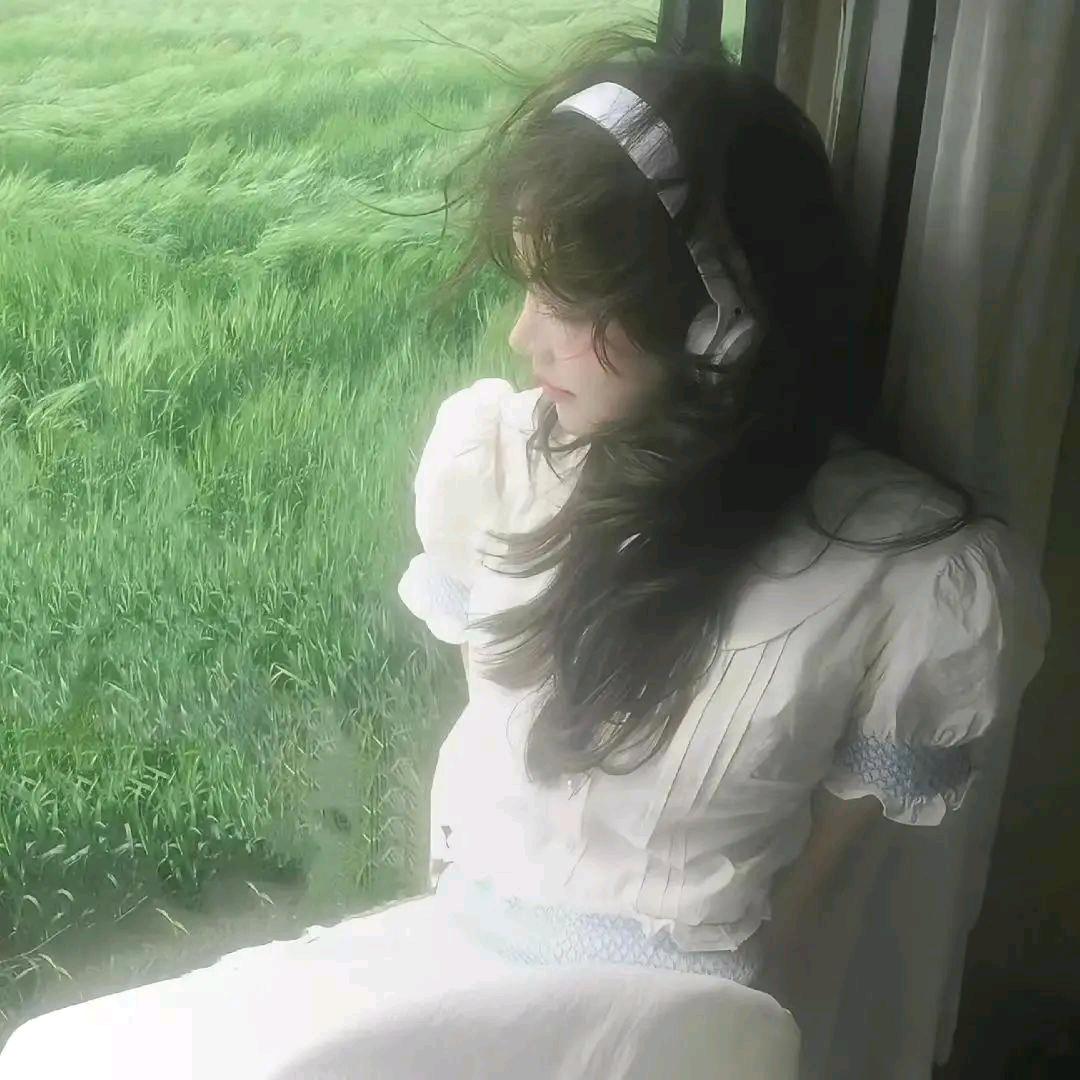 苒苒