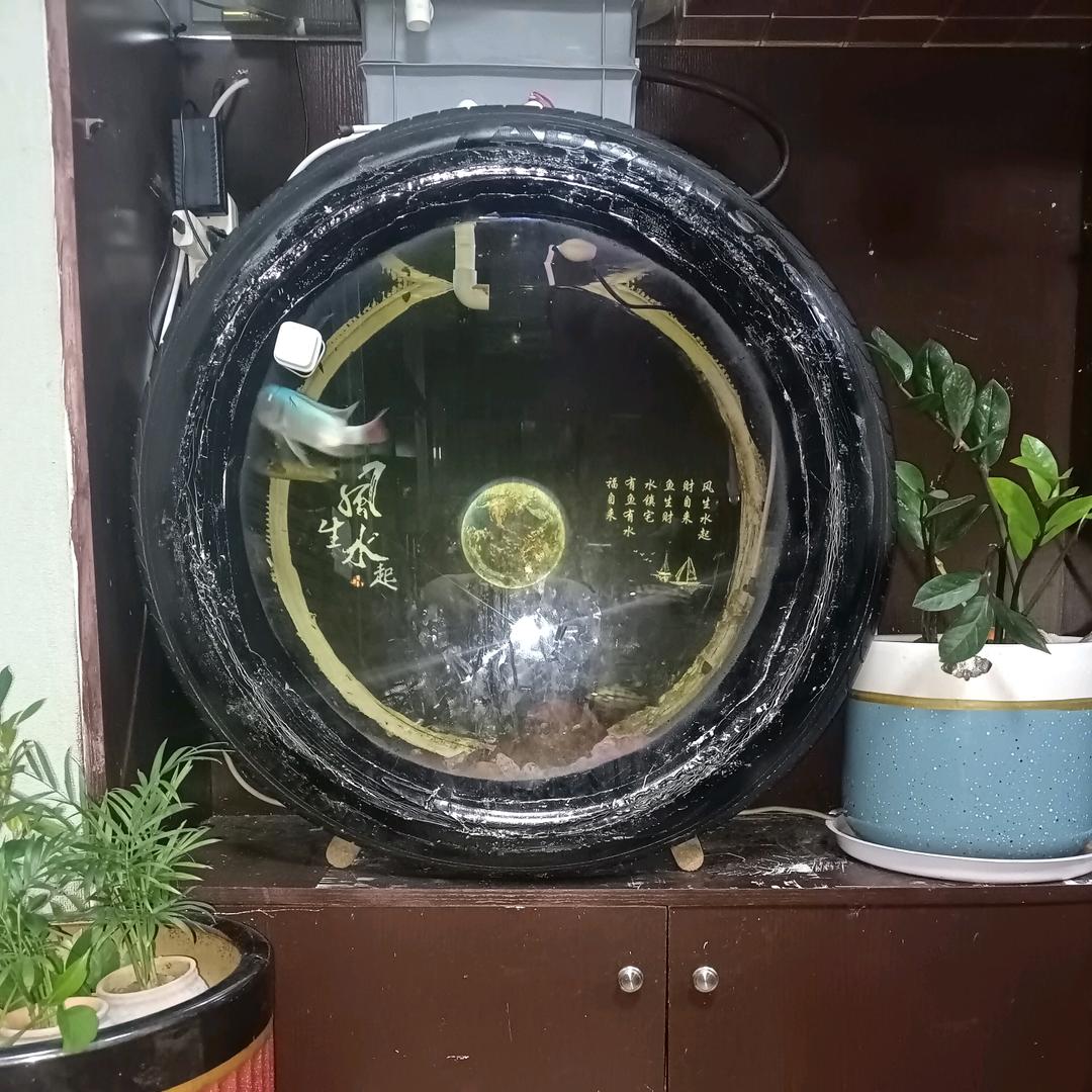 轮胎鱼缸