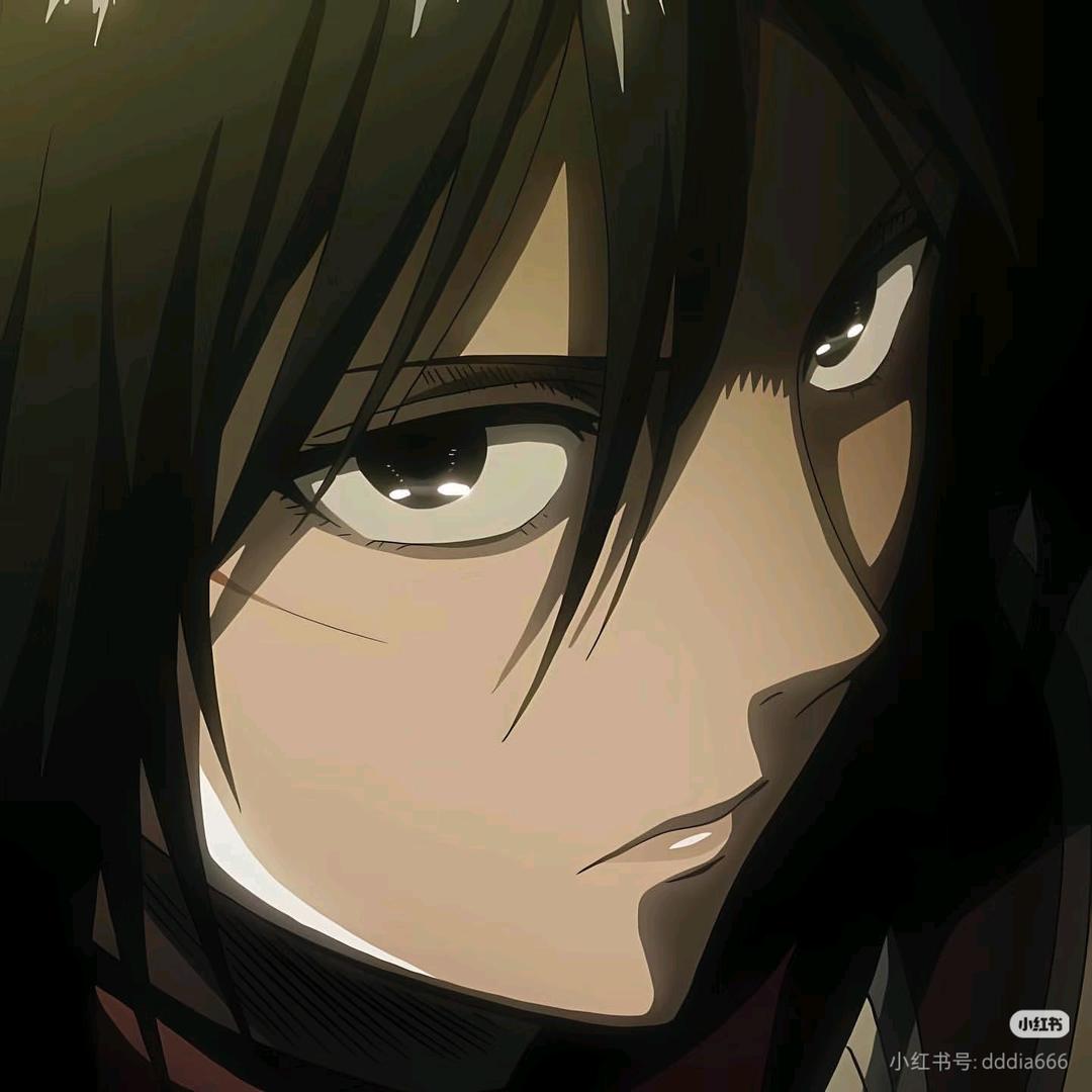 Mikasa