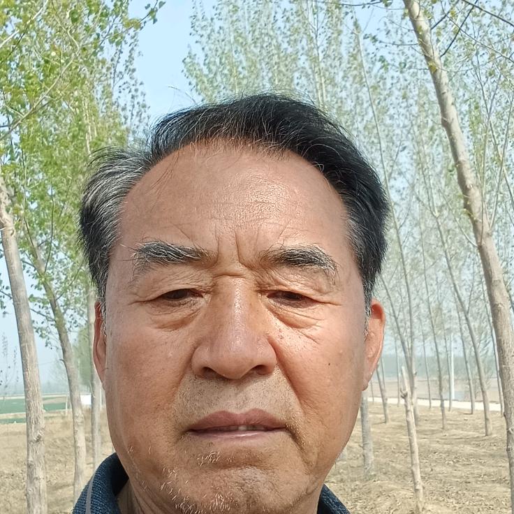 曹草