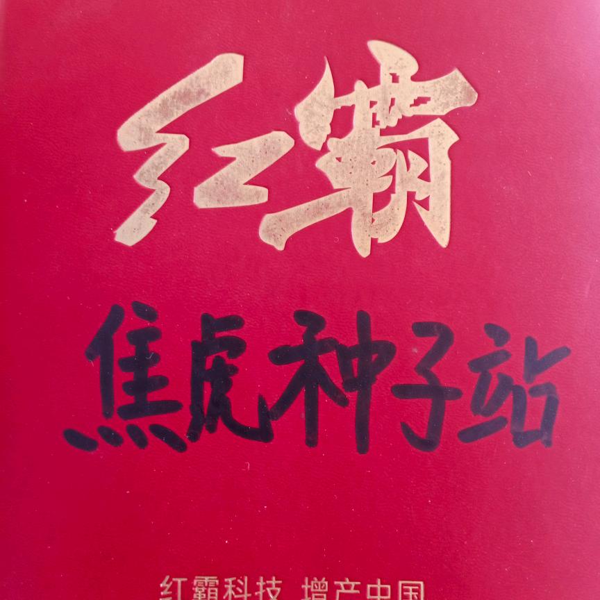 焦虎种子站